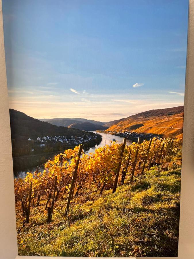 Ferienhaus Ankerpunkt Zell an der Mosel Exteriér fotografie